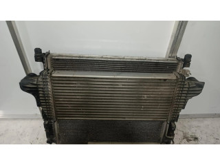 Интеркулер A251000000004, INTERCOOLER Mercedes-Benz R W251 3.0