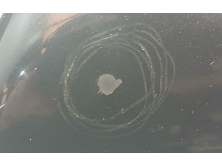 Зеркало (механическое)       KIA Pro Cee'd I  2008 - 2013 года   