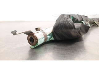 Надувная подушка для крыши 8V4880741A    Audi RS3