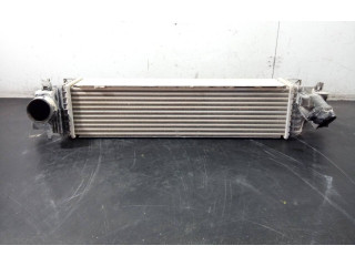 Интеркулер P2-B10-9 BMW 1 F40