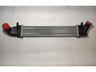 Интеркулер 8200424155, 8200424155 Dacia Logan I