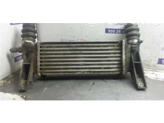 Интеркулер  235009   Ford Transit -  Tourneo Connect 