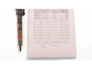 Форсунка 9X2Q9K546DB, C2C40577 Jaguar XF X250 306DT