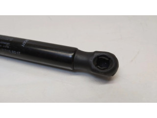 Amortizatorius su spyruokle