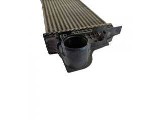 Интеркулер Mercedes-Benz R W251