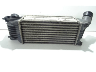 Интеркулер  00000384G6   Citroen C5 