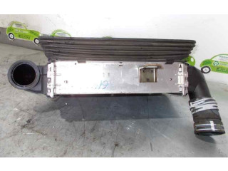 Интеркулер  91FF9L440AB   Ford Escort 