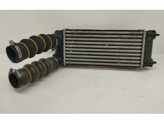 Интеркулер 9800291280 Citroen C4 I