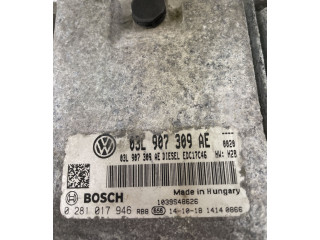 Блок управления двигателем Блок управления 03L907309AE, 0281017946   Volkswagen PASSAT B6