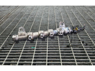 Топливная рампа 961946, 55234039   Jeep Cherokee   для двигателя EBS