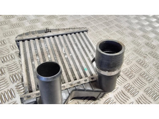 Интеркулер  0003007v005   Smart ForTwo I 0.7