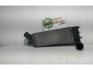 Интеркулер 00000384G0, 00000384G0 Citroen C8