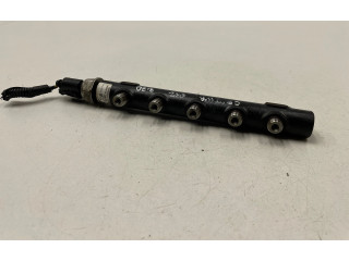 Топливная рампа R9144Z300A, 120212010641   Chevrolet Captiva  