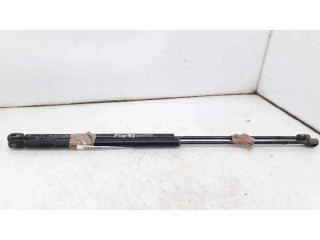 Пружина (пружины) задней крышки