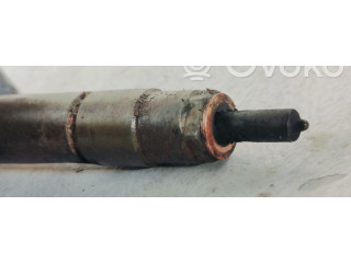 Vstřikovač 0445110096 Mercedes-Benz S W220 613960