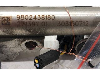 Vstřikovací lišta Citroen C3 Picasso