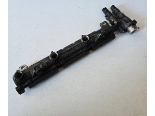 Топливная рампа 036133319   Audi A3 S3 8P   для двигателя BLS