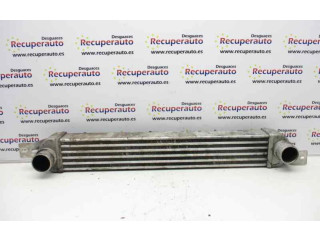 Интеркулер     Opel Meriva A 