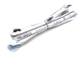 Боковая подушка безопасности 1035382, 0YAL07I2200603 Skoda Fabia Mk3 (NJ)