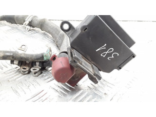 Плюсовый провод (аккумулятора)