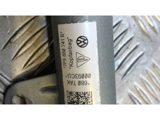 Надувная подушка для крыши