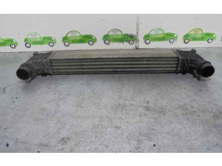 Интеркулер Seat Alhambra (Mk1)