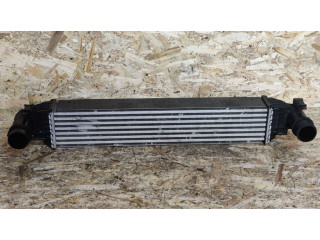 Интеркулер 53332934, 68249192AA Jeep Compass 2.4