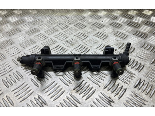 Топливная рампа 03E133320A Skoda Fabia Mk1 (6Y)