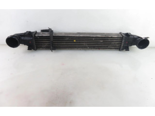 Интеркулер  2115001102, 2115001102   Mercedes-Benz E AMG W211 