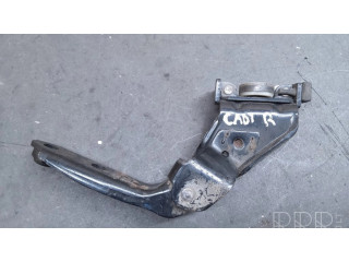 Задняя нижняя петля