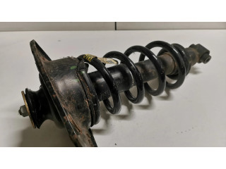 Задний aмортизатор      