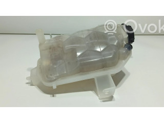 Расширительный бачок охлаждающей жидкости    