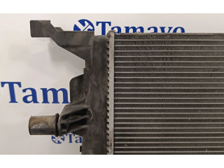 Панель приборов 214100002R, RA1562   Renault Megane III       