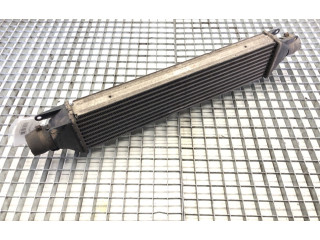 Интеркулер     Fiat Linea 