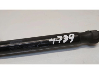 Amortizatorius su spyruokle