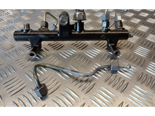 Топливная рампа 9681909680, 9663305480 Ford S-MAX для двигателя D4204T