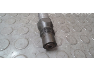 Řídící jednotka 6705404D, NICHTZUTREFFEND Fiat Strada 2004