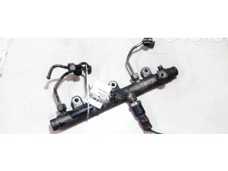 Топливная рампа 0445214019 Citroen Xsara Picasso 2.0