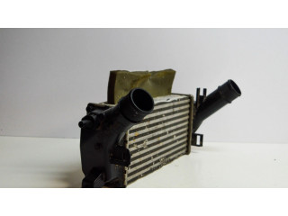 Интеркулер H1BG6K775AC Ford Ecosport 1.0