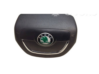 Подушка безопасности водителя 1Z0880201AH Skoda Octavia Mk2 (1Z)