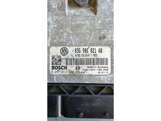 Řídící jednotka 03G906021AQ, 1039S12049 Volkswagen Caddy 2006