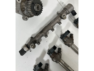 Комплект системы впрыска топлива Skoda Superb B8 (3V)