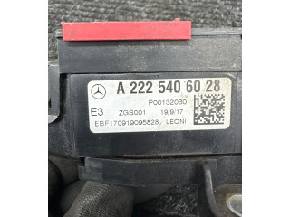 Pojistková skříňka A2225406028, ZG001 Mercedes-Benz S W222 2017