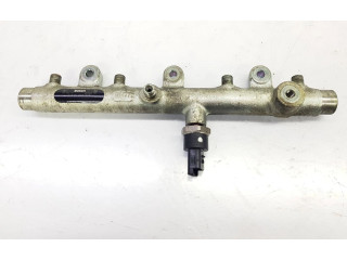 Vstřikovací lišta 157095, 0445214019 Peugeot 206 2.0