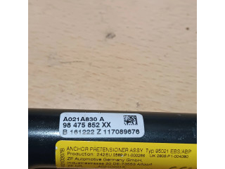 Подушка безопасности в сиденье 98475852XX, 117089676 Citroen Berlingo