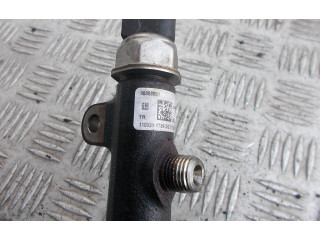 Vstřikovací lišta 96868901, 1105311739 Chevrolet Captiva Z22S1