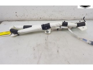 Надувная подушка для крыши 103675600G, 103675600G Tesla Model X A0003K8775D