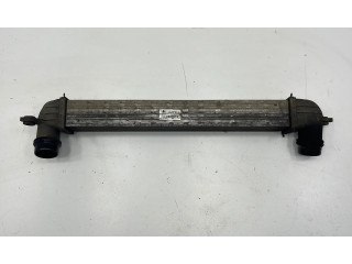 Интеркулер     Mini Cooper Countryman R60 