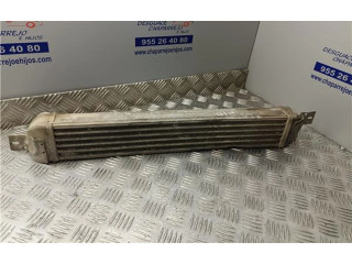 Интеркулер  52401015, WTP7740   Opel Meriva A 