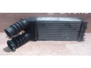 Интеркулер 00000384G5, 00000384G5 Citroen Xsara Picasso